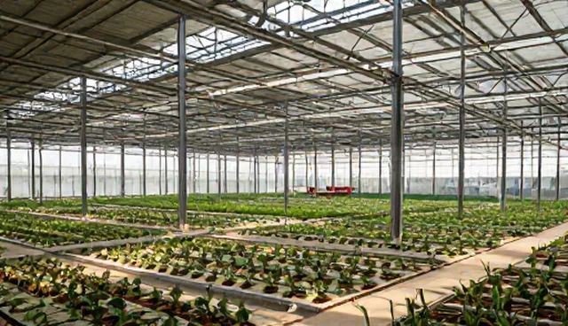 供应商选型如何影响定制采购效率