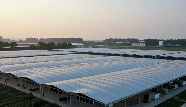 陕西网站建设如何有效进行成本控制?