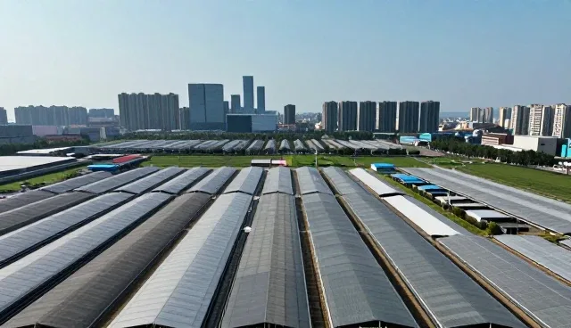 龙岗网站建设公司如何应对供应商管理难题